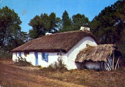 POSTAL 61429: Casa rustica