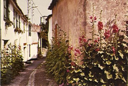 POSTAL 61432: Calle de pueblo