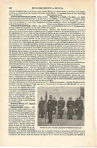 LAMINA ESPASA 16588: Regimiento de Infanteria de Covadonga