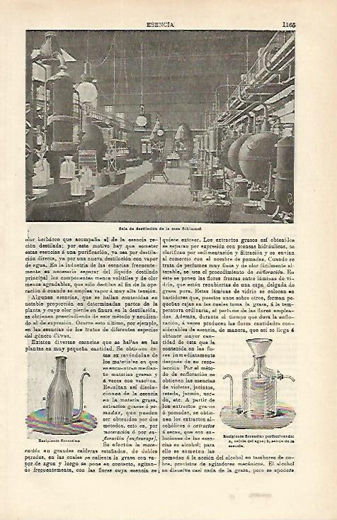 LAMINA ESPASA 16670: Sala de destilacion de la casa Schimmel