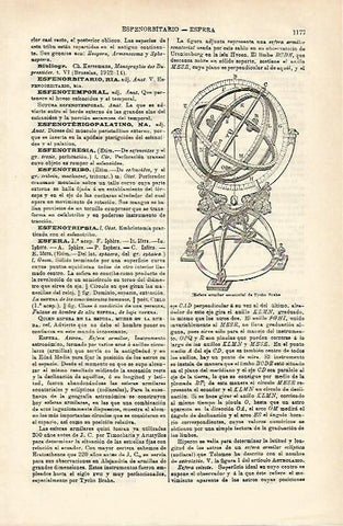 LAMINA ESPASA 16672: Esfera de Tycho Brahe