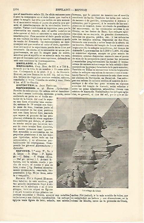 LAMINA ESPASA 16674: La esfinge de Giza Egipto