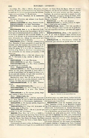 LAMINA ESPASA 16678: Fachada de una casa de Barcelona