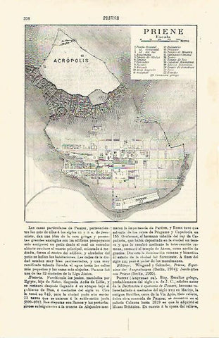 LAMINA ESPASA 16763: Plano de Priene