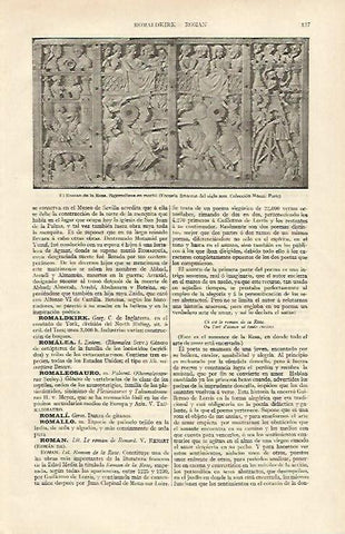 LAMINA ESPASA 16894: El Roman de la Rose