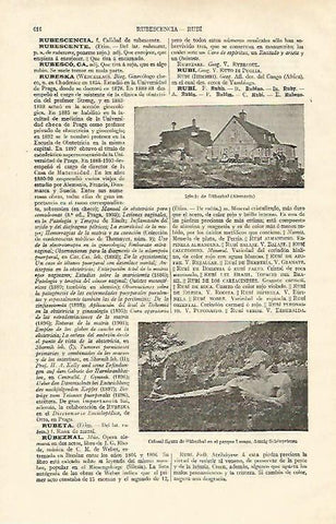 LAMINA ESPASA Alemania 17004: Iglesia de Rubezhal Alemania