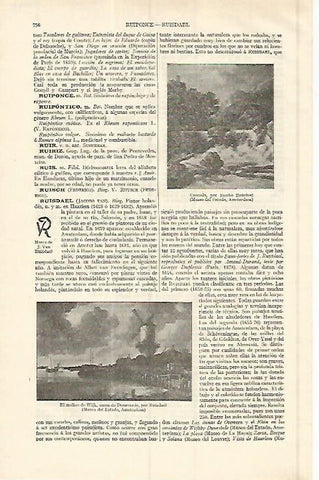 LAMINA ESPASA 17037:Cascada por Ruisdel