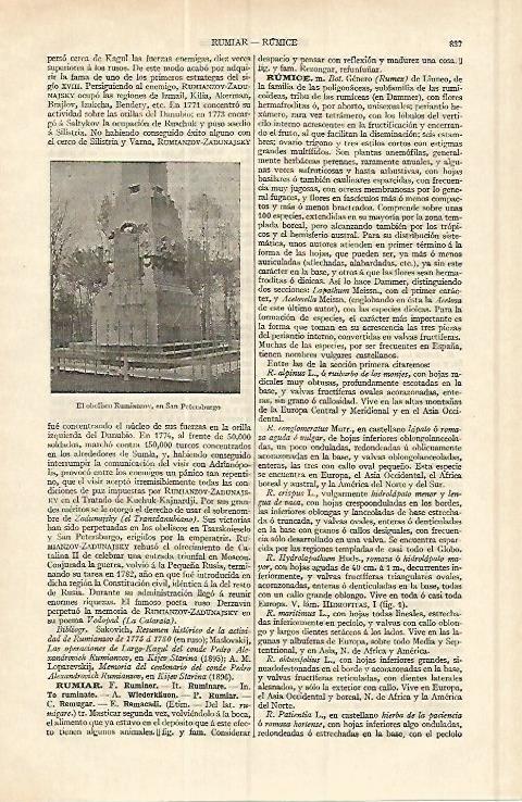 LAMINA ESPASA 17059: Obelisco Rummianzov en San Petersburgo
