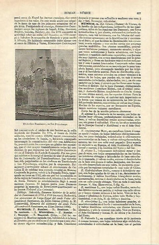 LAMINA ESPASA 17059: Obelisco Rummianzov en San Petersburgo