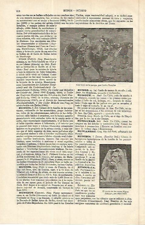 LAMINA ESPASA 17061: Cowboys en la pampa por Rungius
