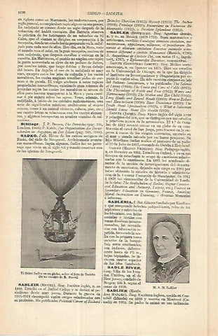 LAMINA ESPASA 17135: Sadler en su globo sobre el faro de Dublin