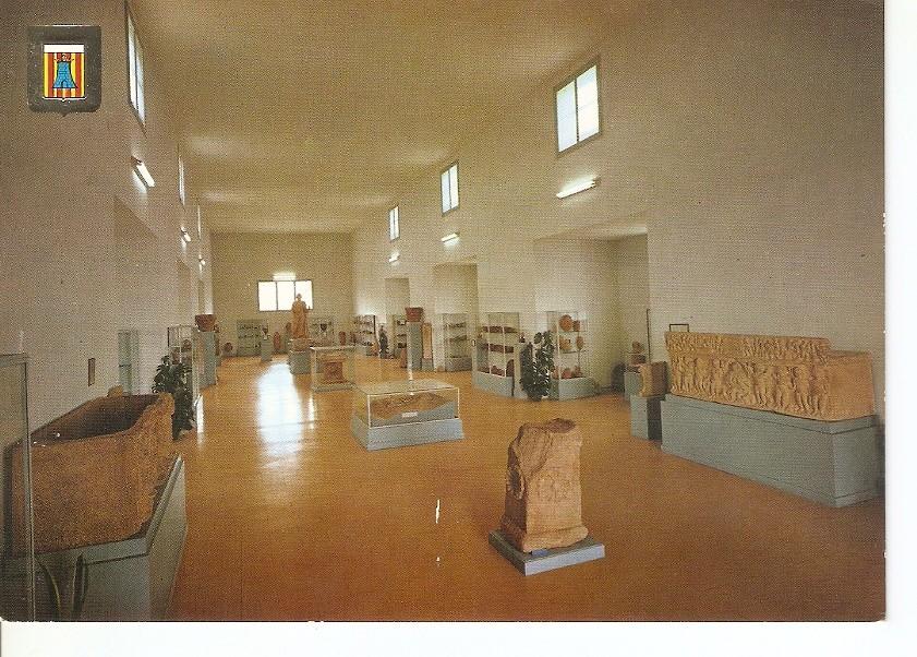Postal 027763 : Ampurias (Gerona), Sala Principal del Museo Monografico