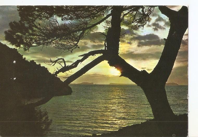Postal 048820 : España. Salida del sol