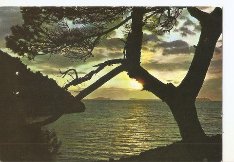 Postal 048820 : España. Salida del sol