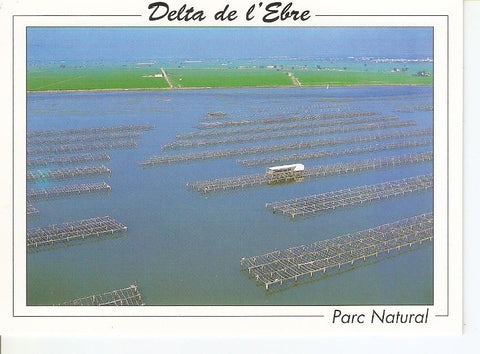 Postal 040736 : Delta de lEbre. Parc Natural