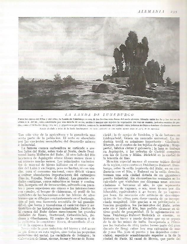 LAMINA 3161: ALEMANIA. La landa de Luneburgo