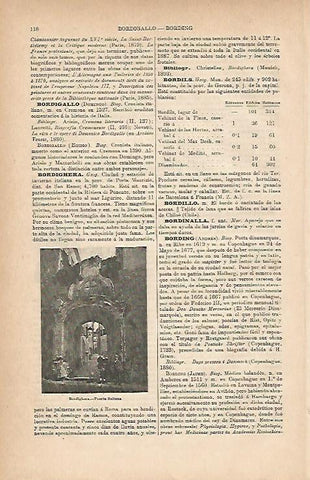 LAMINA ESPASA 11762: Puerta Sultana en Bordighera Italia
