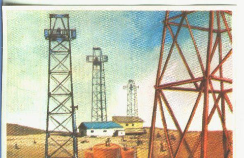 Cromos: Historia Natural numero 060