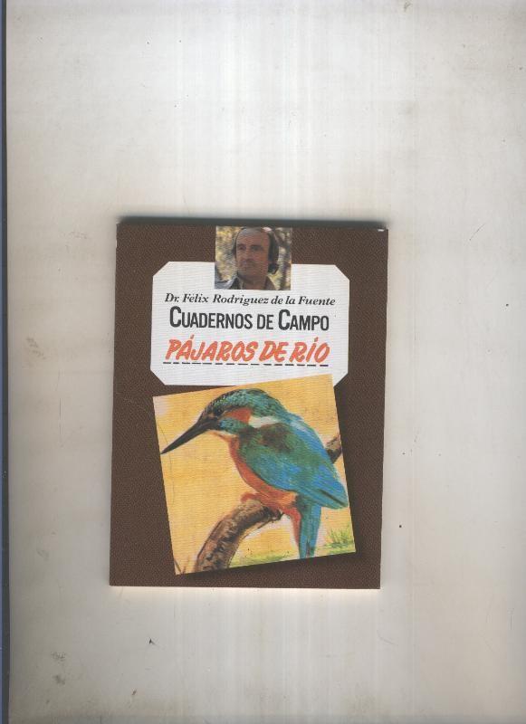 Pajaros de Rio
