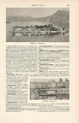LAMINA ESPASA 7264: Vista general de Isola Bella Italia