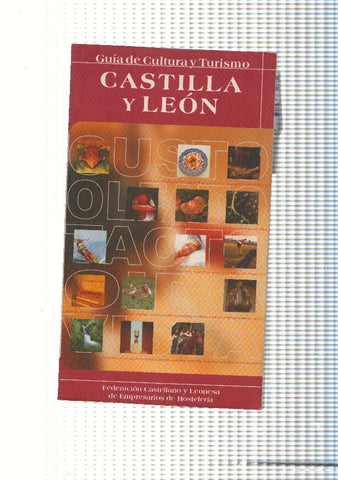 Guia d cultura y turismo: Castilla y Leon