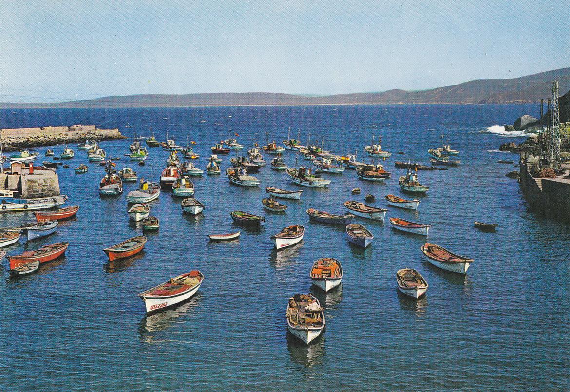 Postal 61137 : Malpica (La Coruña). Port