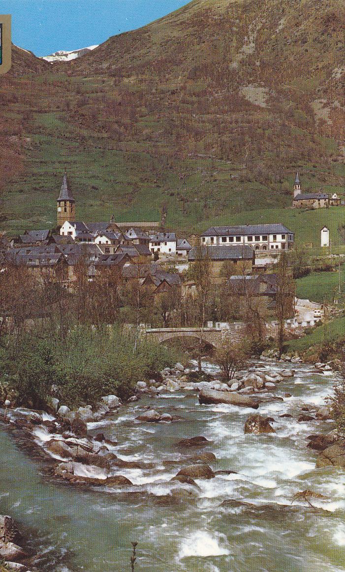 Postal 61148 : Pirineu Catala (Lleida). Vall d Aran. Detall de Salardu