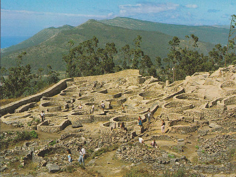 Postal 61230 : Monte de Santa Tecla - La Guardia (Pontevedra). Castro Celta