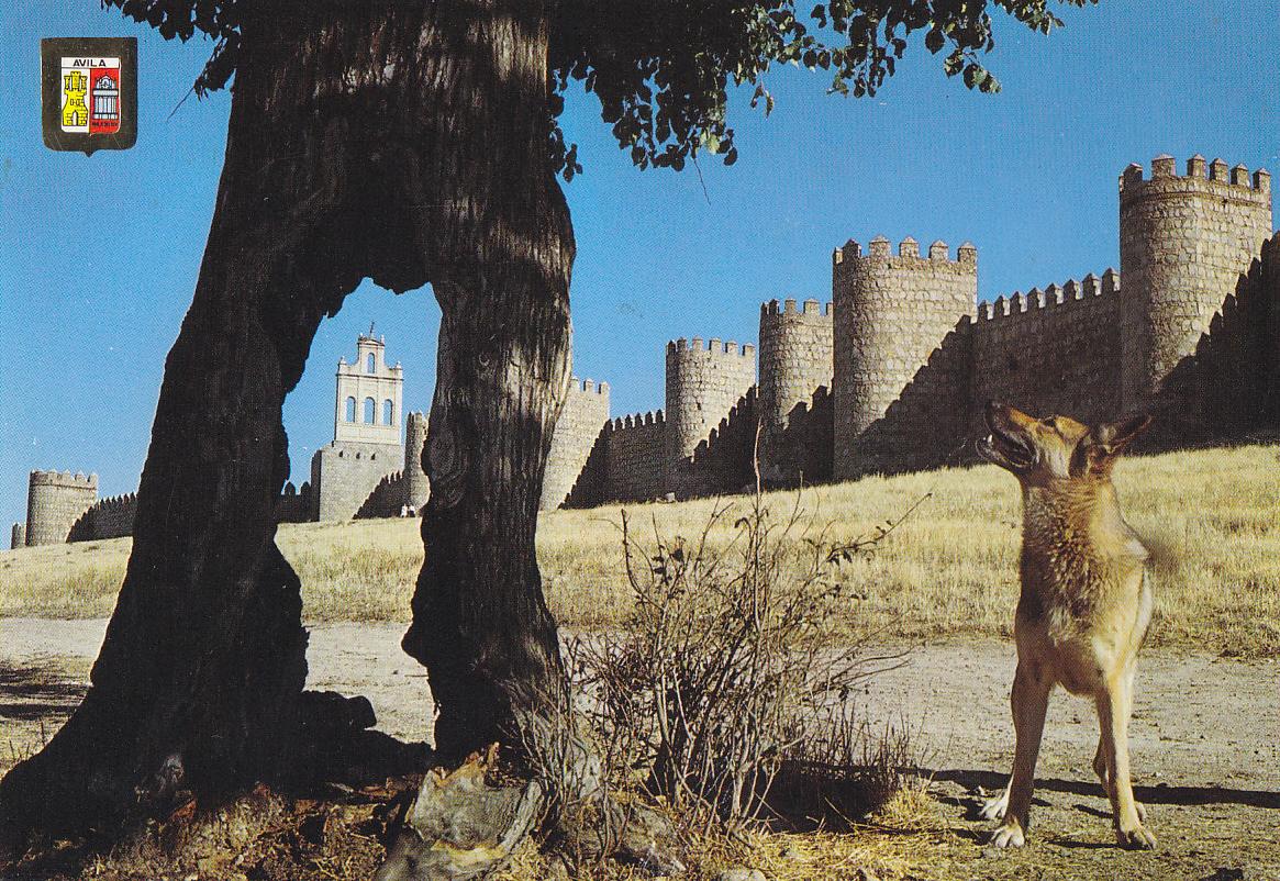 Postal 61243 : Avila. Murallas