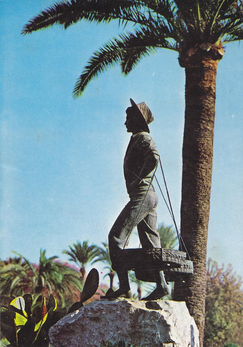 Postal 61255 : Malaga - Costal del Sol. El Cenachero