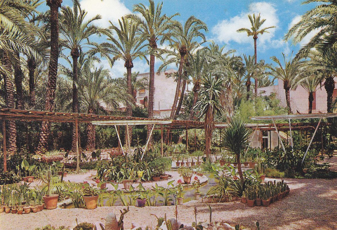 Postal 61282 : Elche huerto del Cura. Viveros