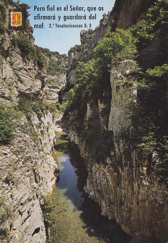 Postal 61404 : Pirineo Aragones. Carretera a Anso