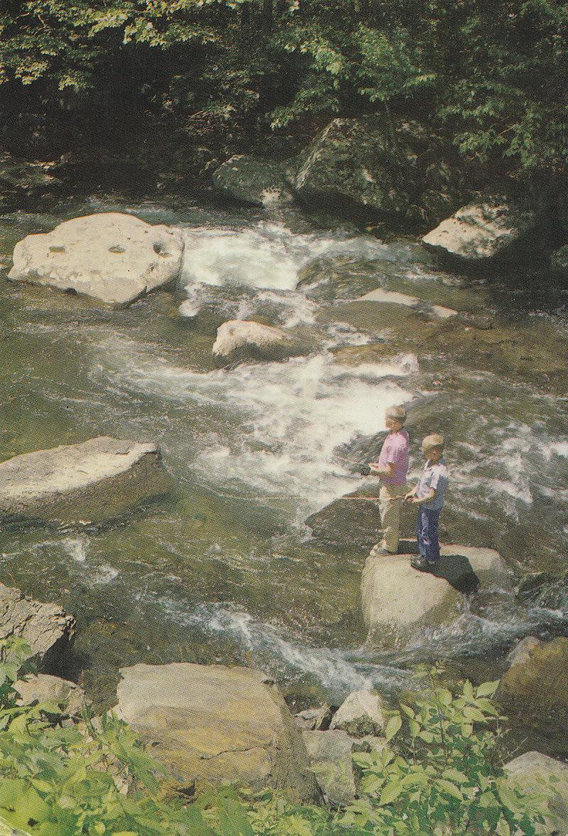 Postal 61449 : Crios pescando en el rio