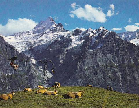 Postal 61472 : Grindelwald First-Bahn. Schereckhorner und Oberer Gletscher