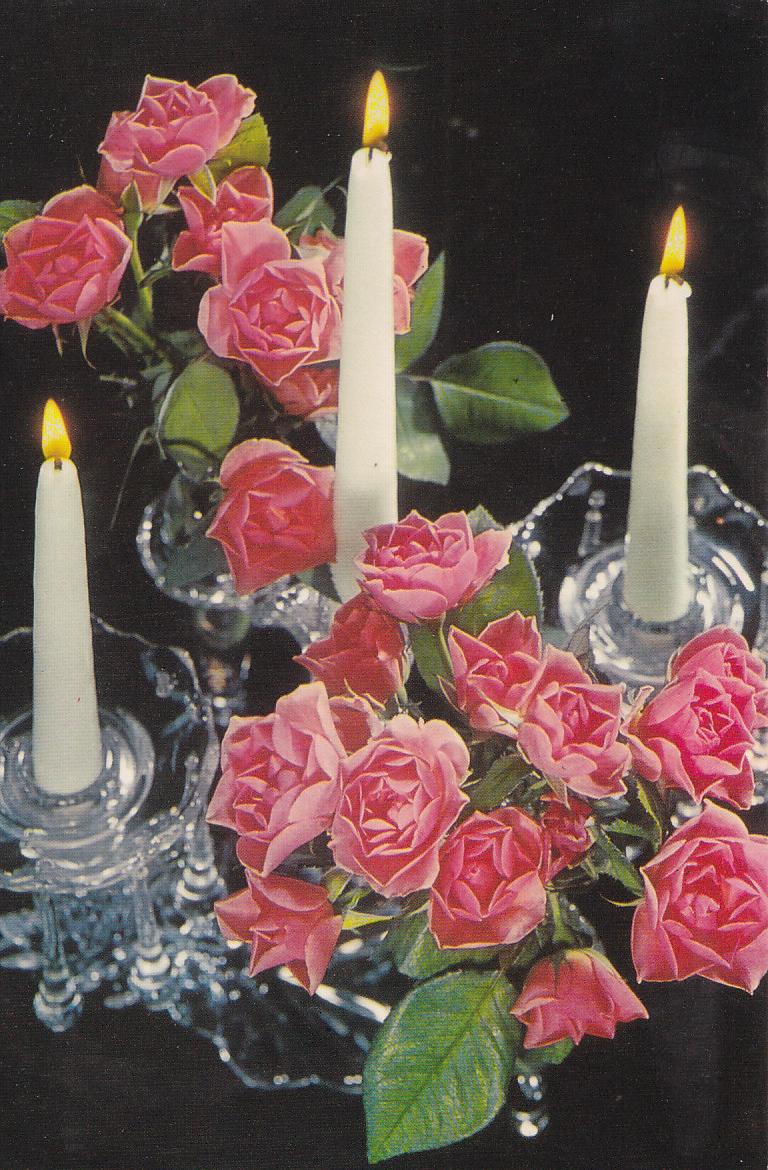 Postal 61477 : Rosas y velas