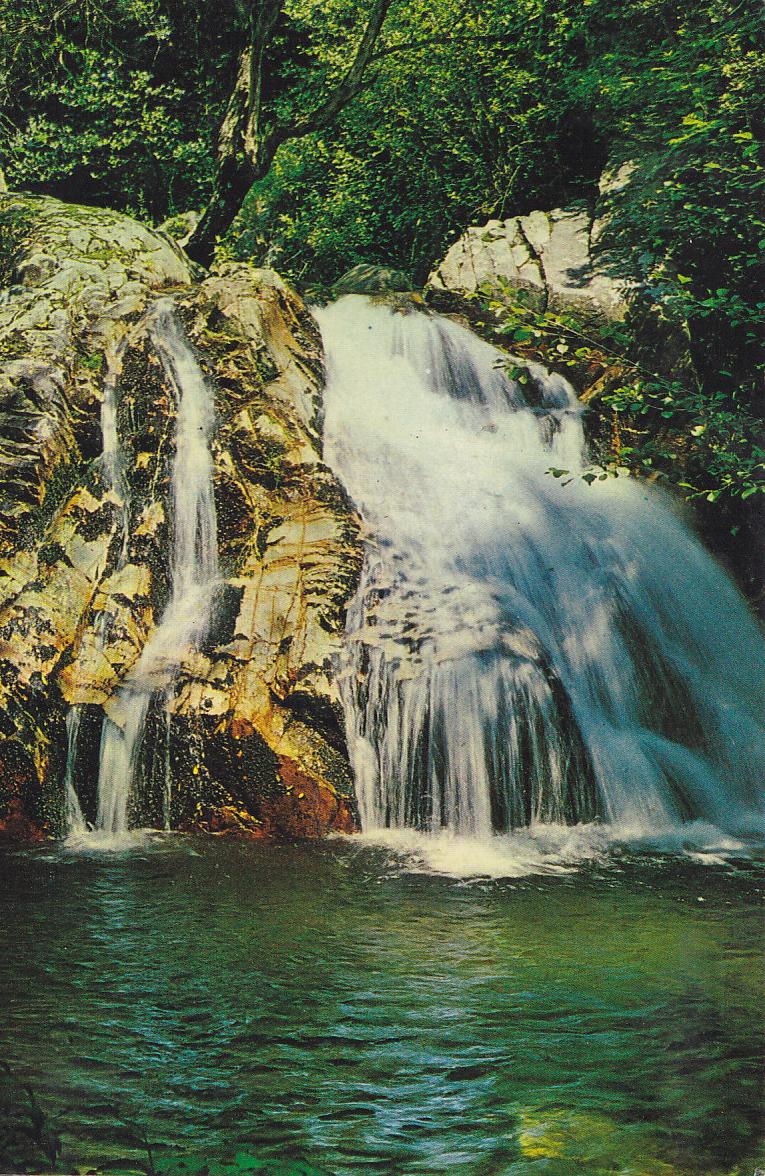 Postal 61486 : Riells del Montseny. Hostal Bell-Lloc. Les Cascades