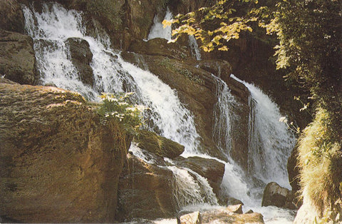 Postal 61511 : Castellar de N Hug (Barcelona). Pirineu Catala. Fonts del Llobregat