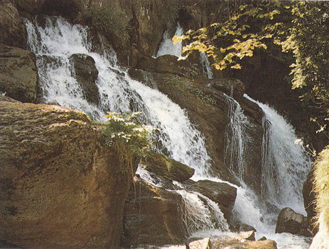 Postal 61530 : Castellar de N Hug (Barcelona). Pirineu Catala. Fonts del Llobregat
