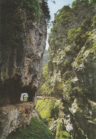 Postal 61634 : Picos de Europa. Desfilareo del Rio Cares. Puente de Los Rebecos