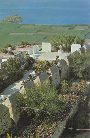 Postal 61726 : Salobreña. Costa del Sol (Granada). Jardines del Castillo al fondo el Peñon