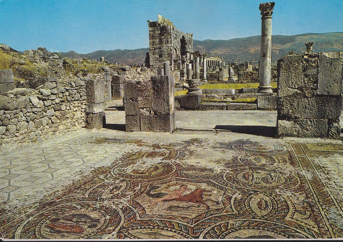 Postal 61794 : Volubilis. Roman mosaics. Visitez le Maroc