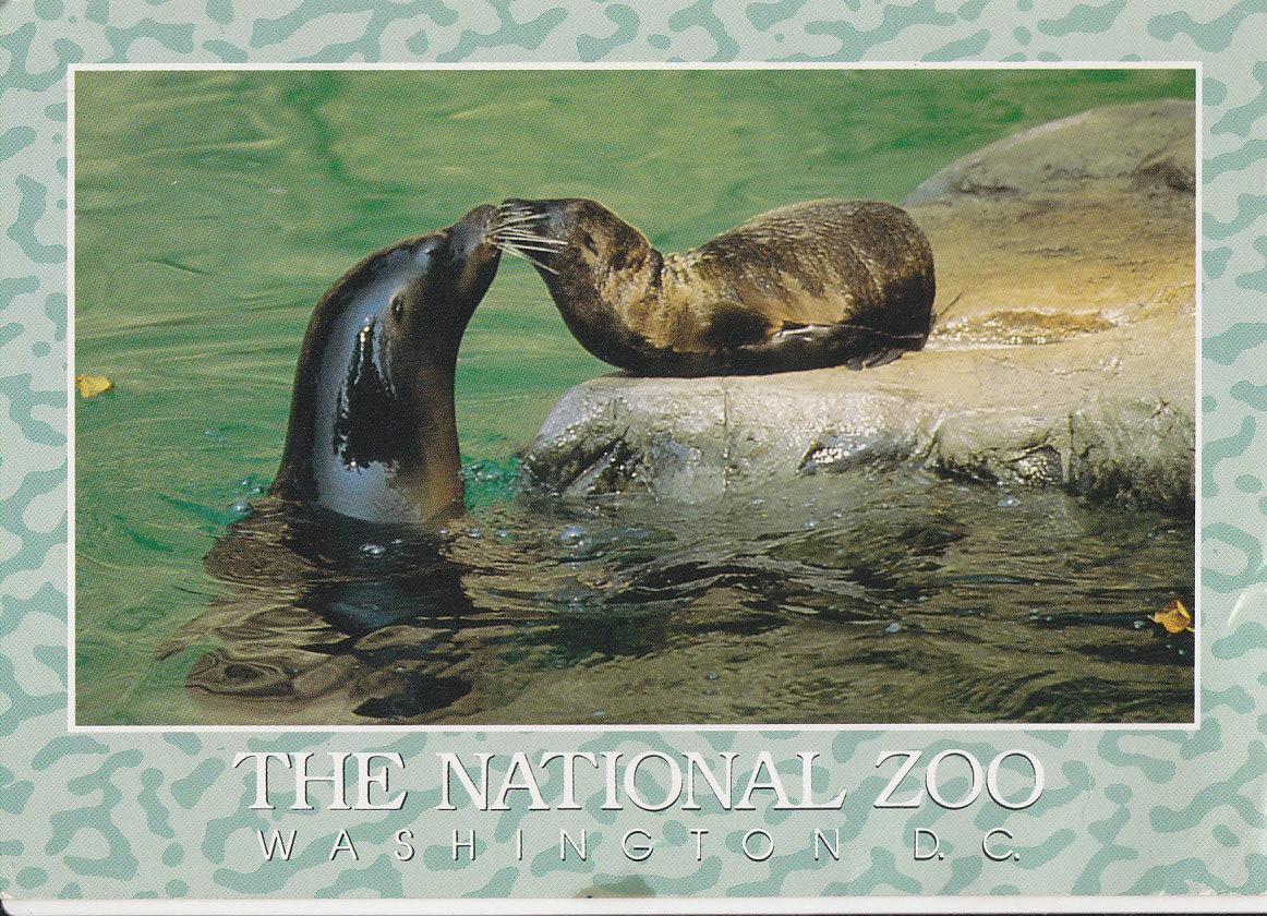 Postal 61876 : The National Zoo Washington D.C.