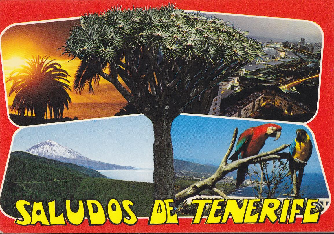 Postal 61922 : Tenerife. Isla del Sol