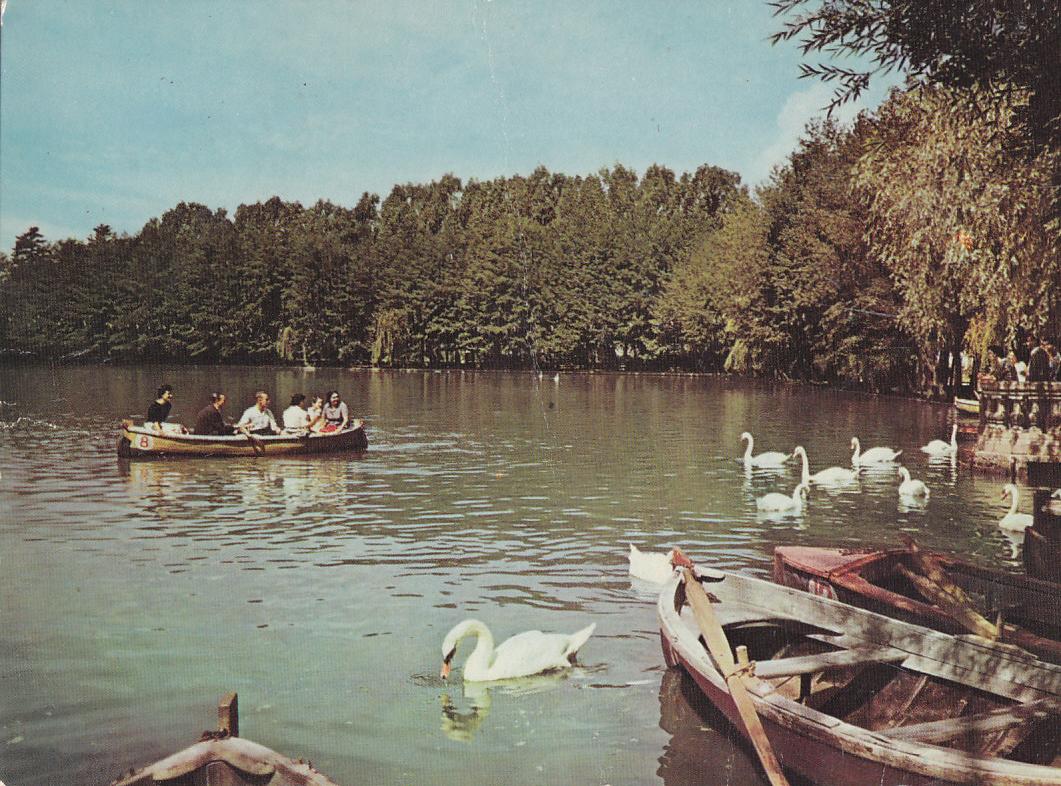Postal 62029 : Pirineos Orientales. Puigcerda - El lago