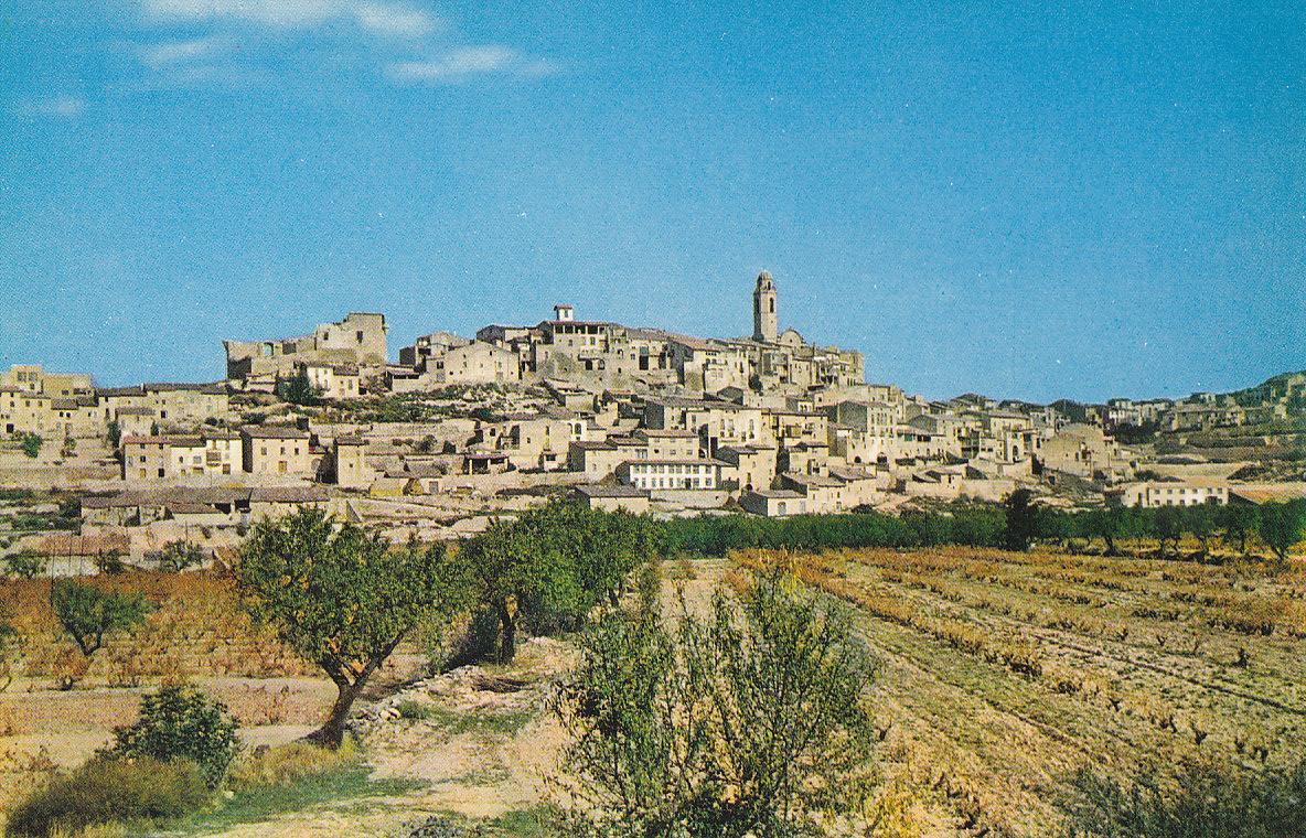 Postal 62038 : Malda (Lerida). Vista panoramica