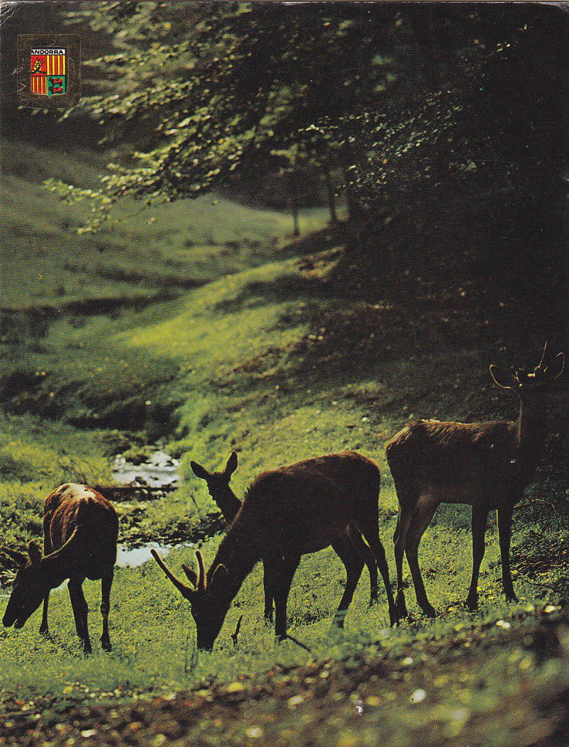 Postal 62056 : Valls d Andorra. Isards