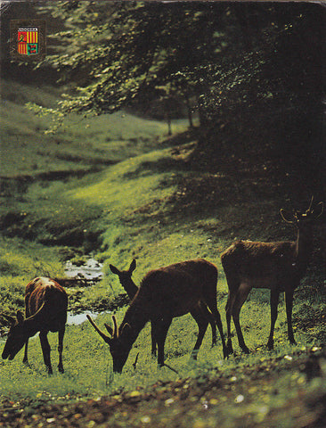 Postal 62056 : Valls d Andorra. Isards