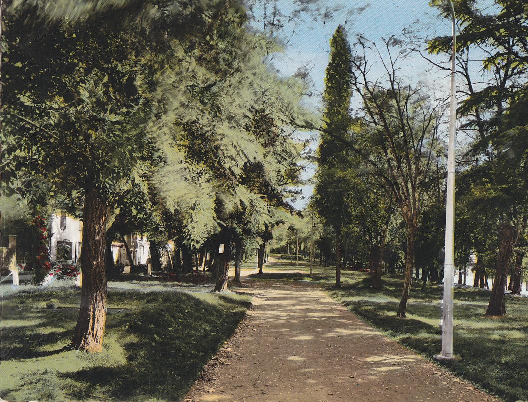 Postal 62077 : Gondrin (Gers). Les Promenades