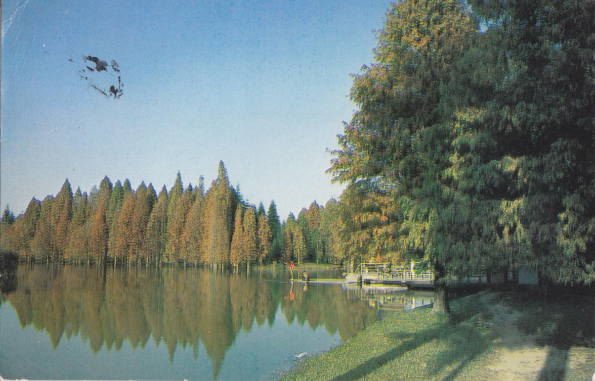 Postal 62130 : Southern China Botanical Garden