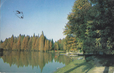 Postal 62130 : Southern China Botanical Garden